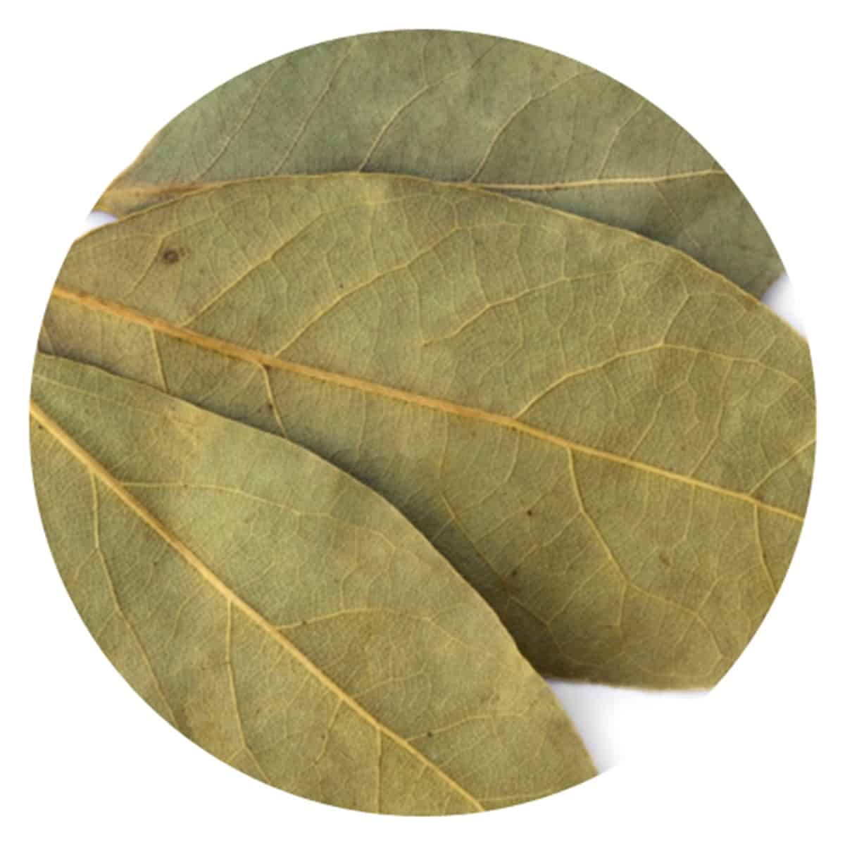 Buy IAG Foods Dried Bay Leaves (Tejpatta) - 1 kg