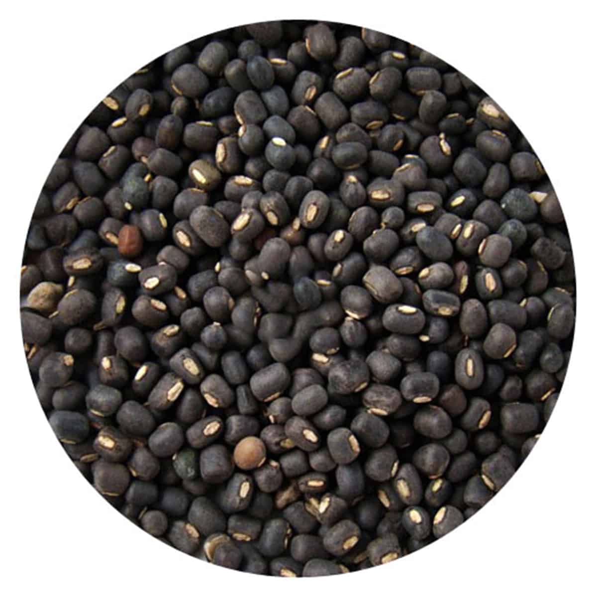 Buy IAG Foods Black Lentils - 1 kg
