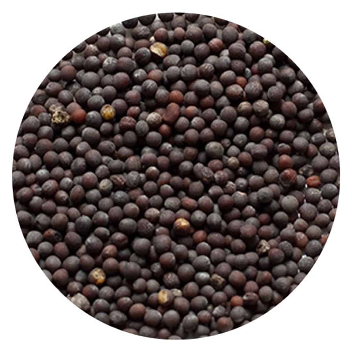 Buy IAG Foods Black Mustard Seeds - 1 kg
