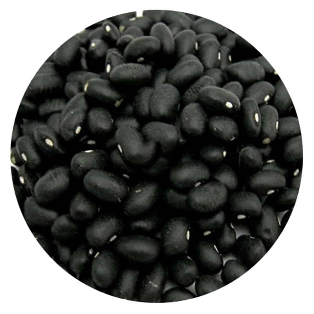 Buy IAG Foods Dried Black Turtle Beans - 1 kg
