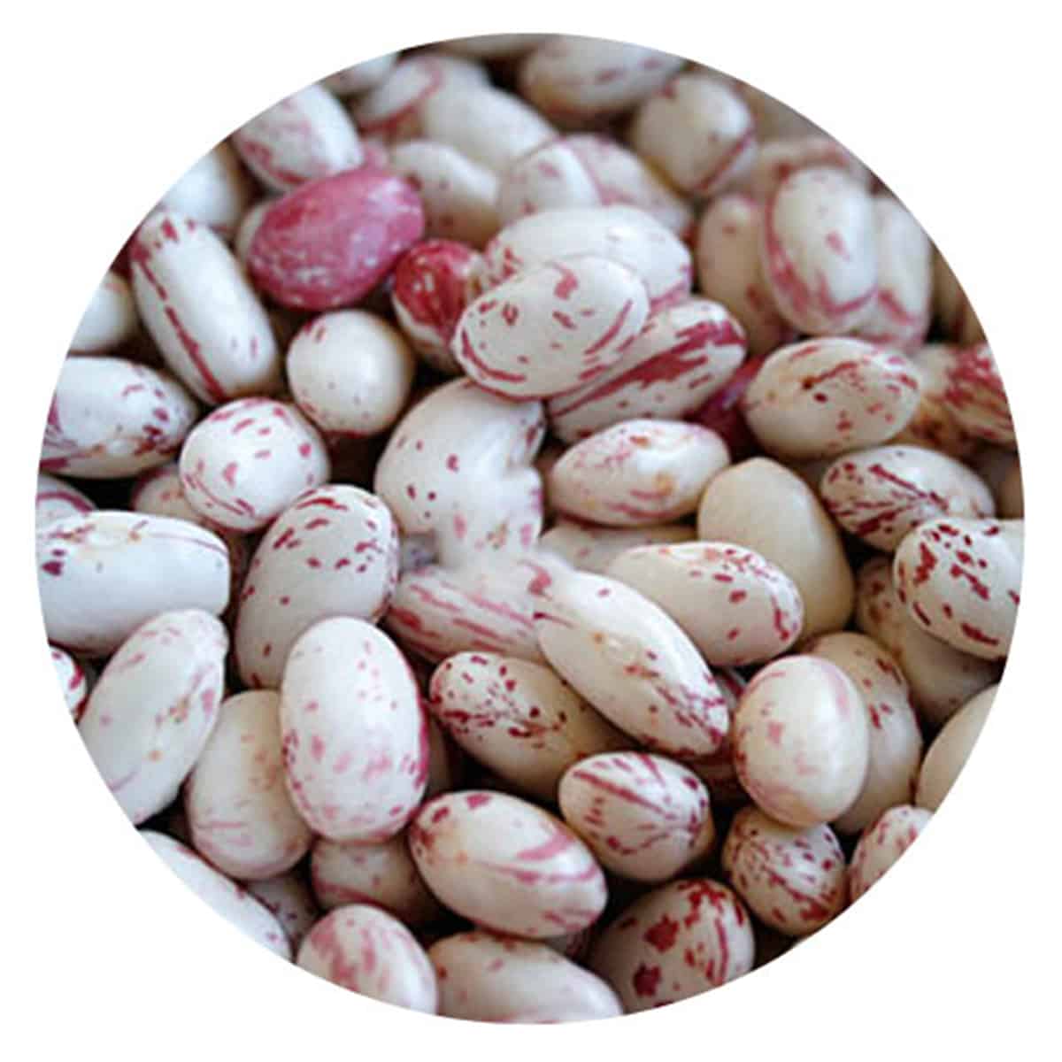 Buy IAG Foods Dried Borlotti Beans (Cranberry Beans) - 1 kg