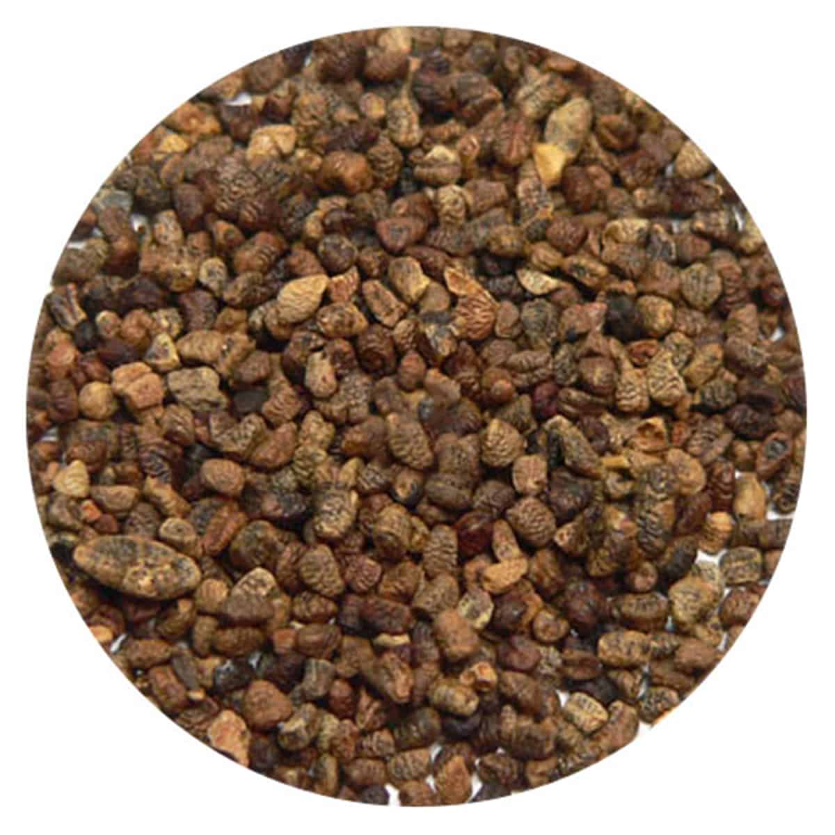 Buy IAG Foods Cardamom Seeds (Inner) - 1 kg
