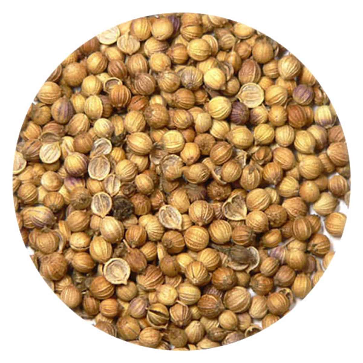 Buy IAG Foods Coriander Seeds (Dhania) - 1 kg