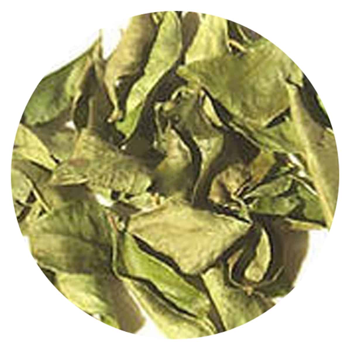 Buy IAG Foods Dried Curry Leaves - 1 kg