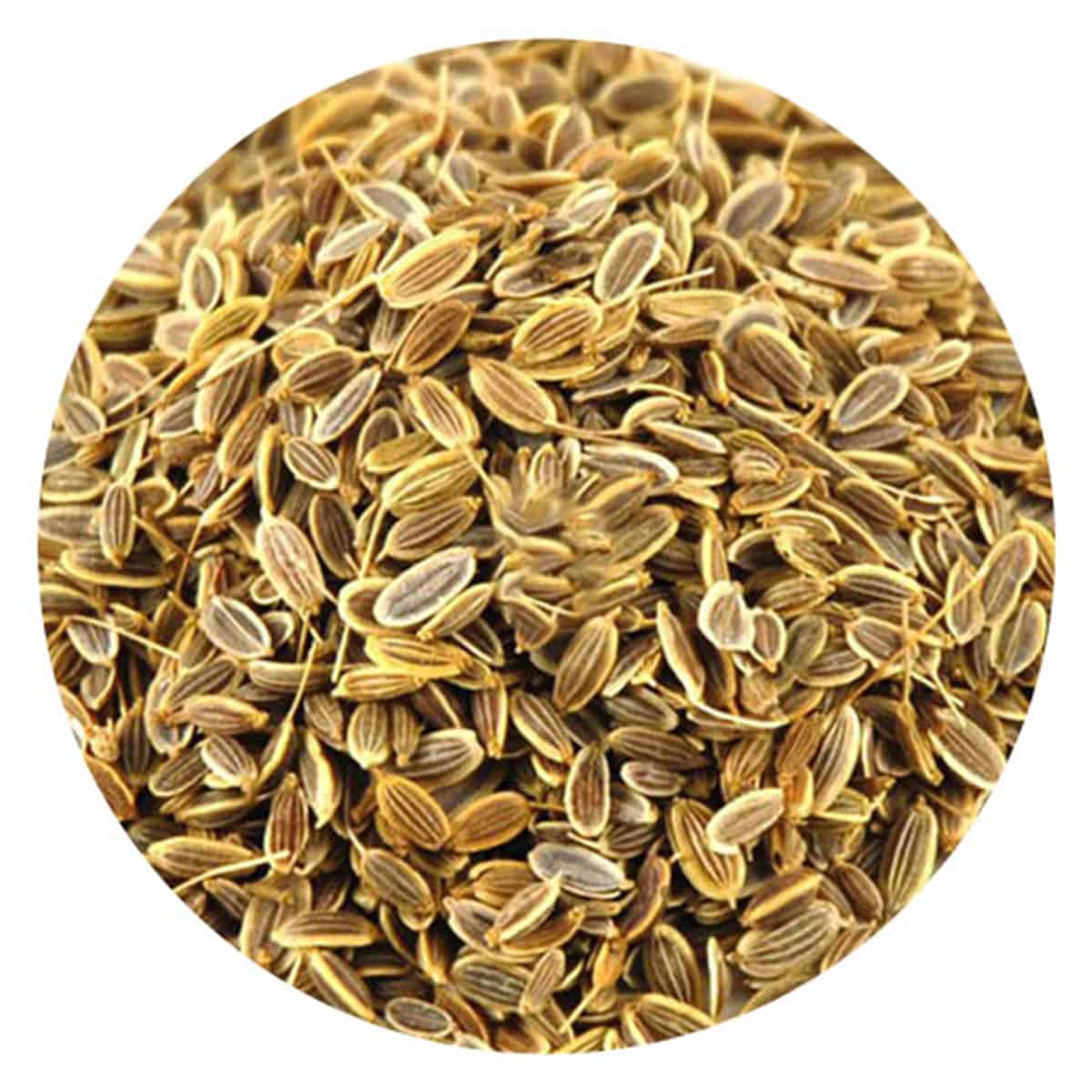 Buy IAG Foods Dill Seeds - 1 kg
