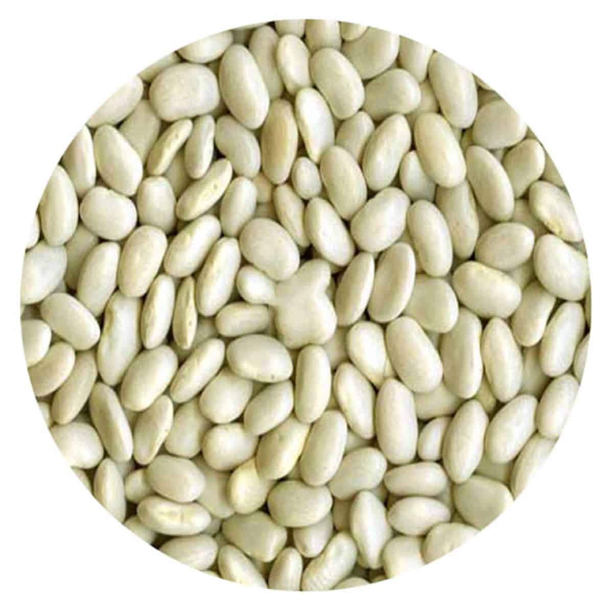 Buy IAG Foods Dried Great Northern Beans - 1 kg