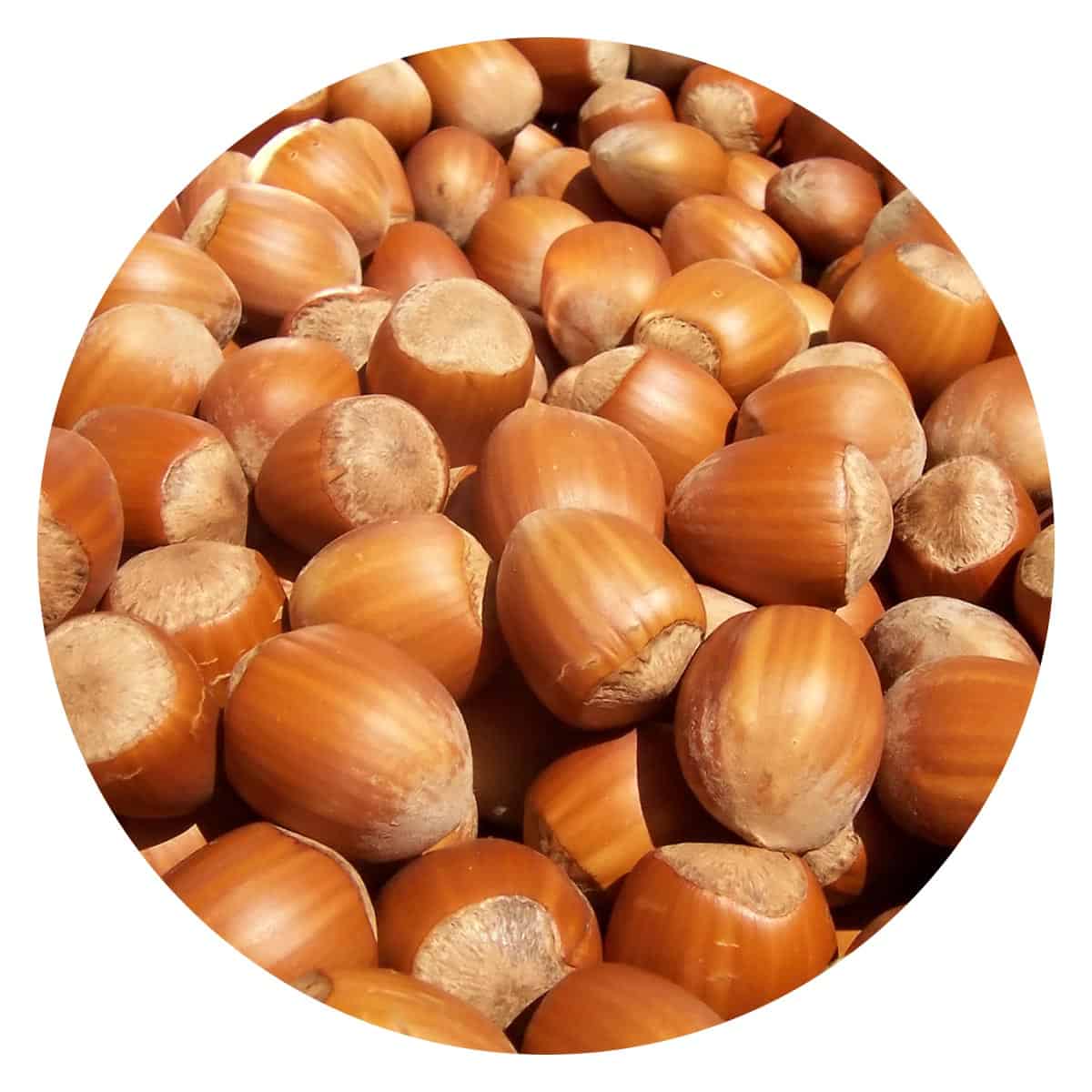 Buy IAG Foods Hazelnuts - 450 gm