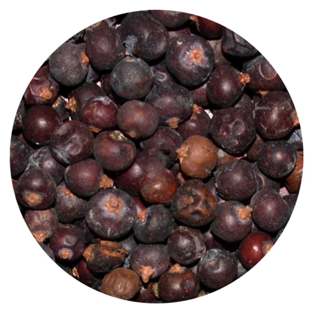 Buy IAG Foods Dried Juniper Berries - 1 kg